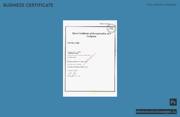 Beispielvorschau für eine irische Gründungsurkunde